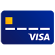 Visa credit card. 