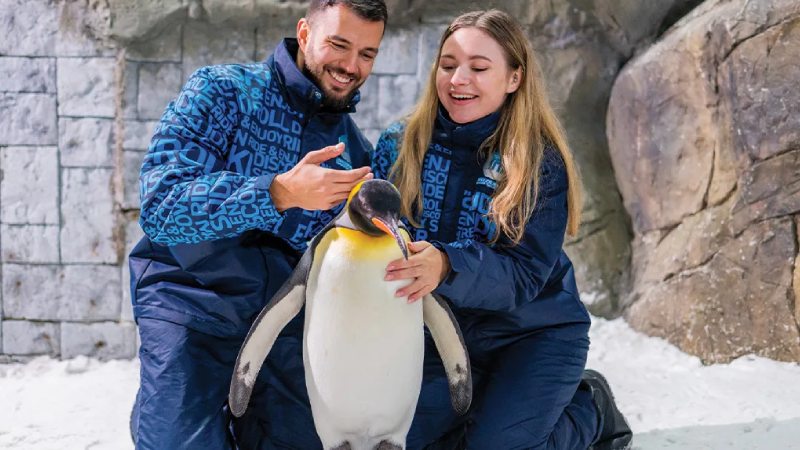 Two people in winter uniforms posing with a penguin in an indoor snow habitat
